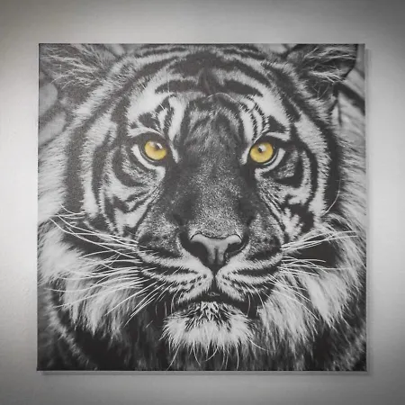 Modern With Garden Location Apartman *