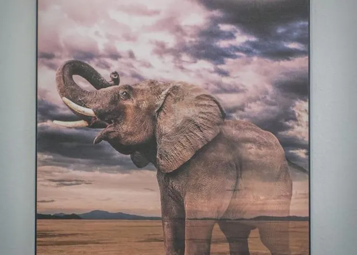 Apartman Modern With Garden Location